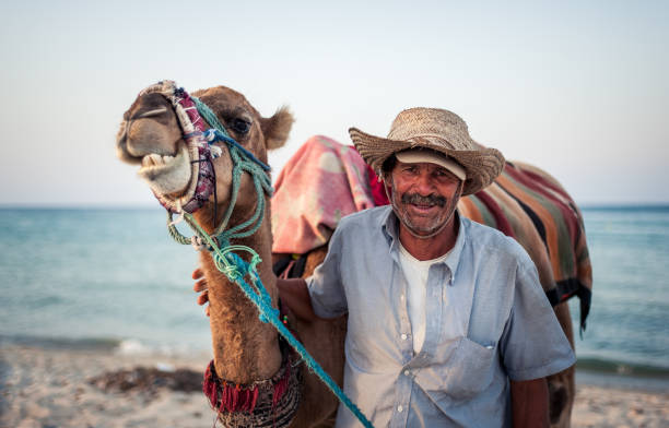 Camel owner on the coast of Tunisia with his camel, close-up stock photo