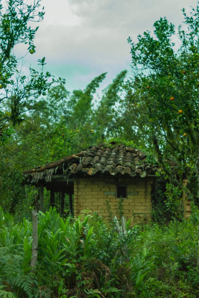 istock Ruins of the countryside 1178171367