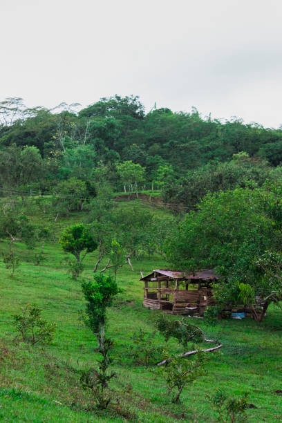 istock Ruins of the countryside 1178171375