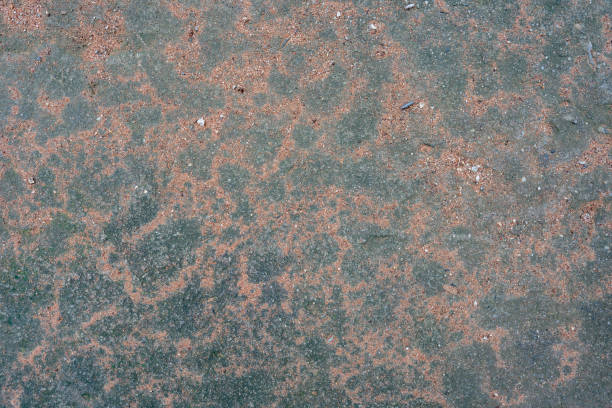 istock Gray tiny soil on cement concrete background, beautiful grunge rough surface floor. 1178171424