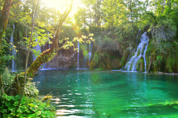 istock Waterfalls in forest. Plitvice national park in Croatia 1178171929