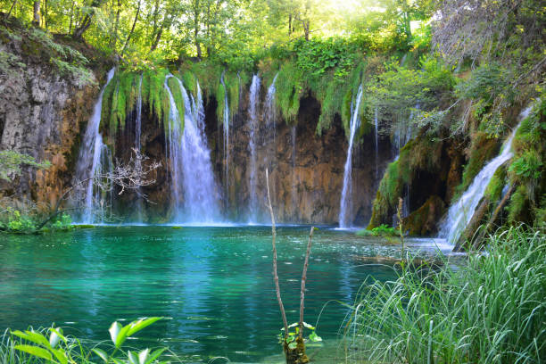 istock Waterfalls in forest. Plitvice national park in Croatia 1178171944