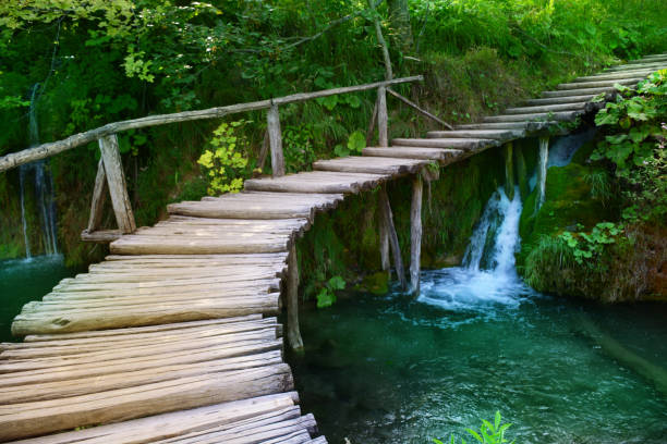istock Waterfalls in forest. Plitvice national park in Croatia 1178171977