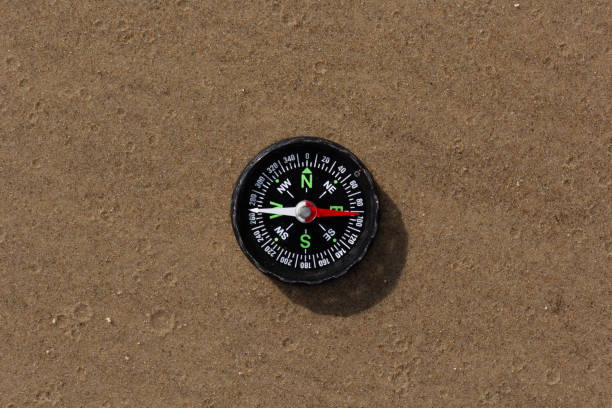 istock Compass pointing East laying on sand beach 1178175345