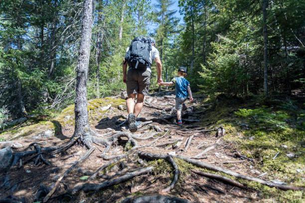 istock Father and Son Hiking in Forest in Summer 1178179296