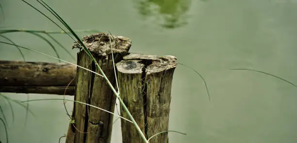 Photo of Round shape wooden timbers with water background