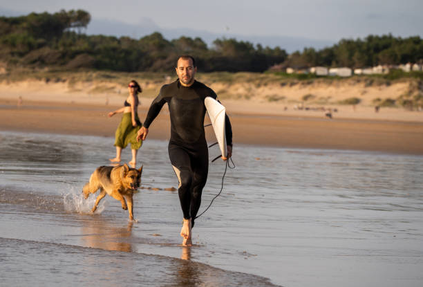 istock Surfer having fun with best friend german shepherd running and playing on dog-friendly beach at sunset. Summer fun surfing vacation with your dog, pet friendly trip and outdoors adventure lifestyle. 1178180142