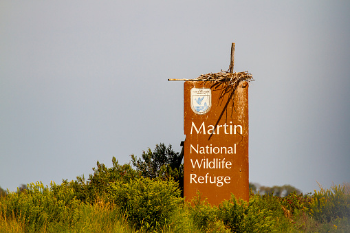 Smith Island, Maryland - September 20, 2019 :  Bird nest on top or sign for U.S. Fisht and Wildlife Services Martin National Wildlife Refuge with copy space.