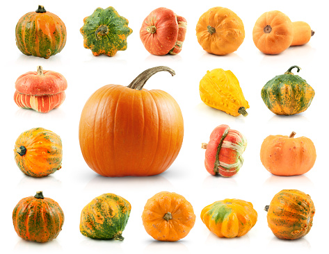 Thanksgiving day concept. Top view vertical photo of maple leaves raw vegetables pumpkins pattypans apples pear walnuts pine cones and physalis on isolated white background with copyspace