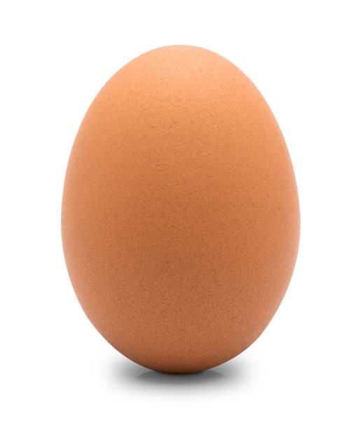 istock Close up of chicken egg isolated 1178182987