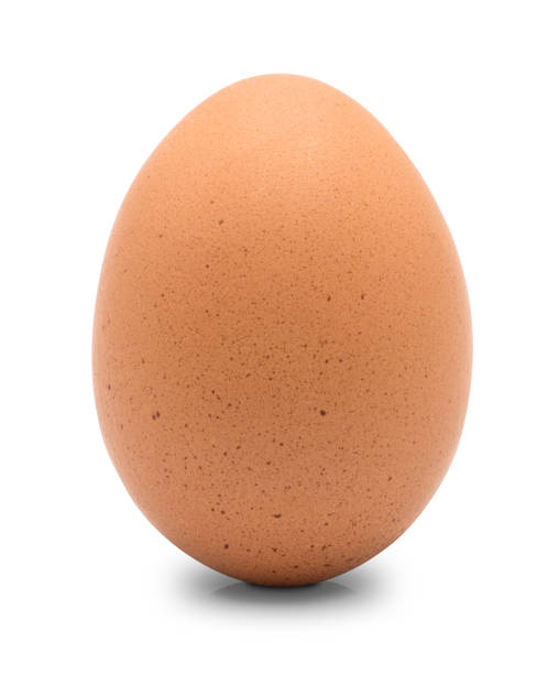 istock Close up of chicken egg isolated 1178182998