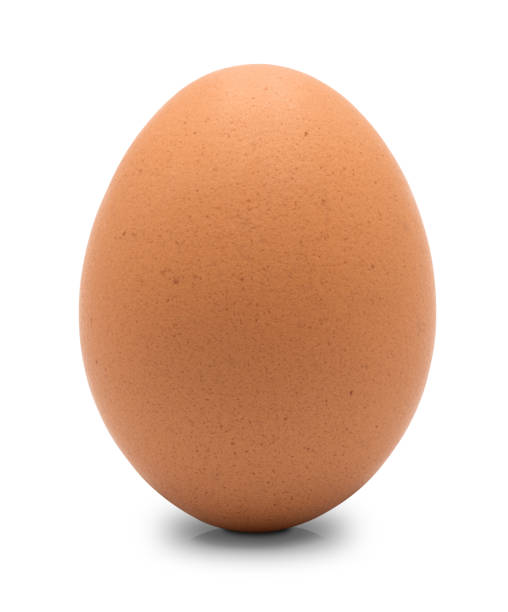 istock Close up of chicken egg isolated 1178183021