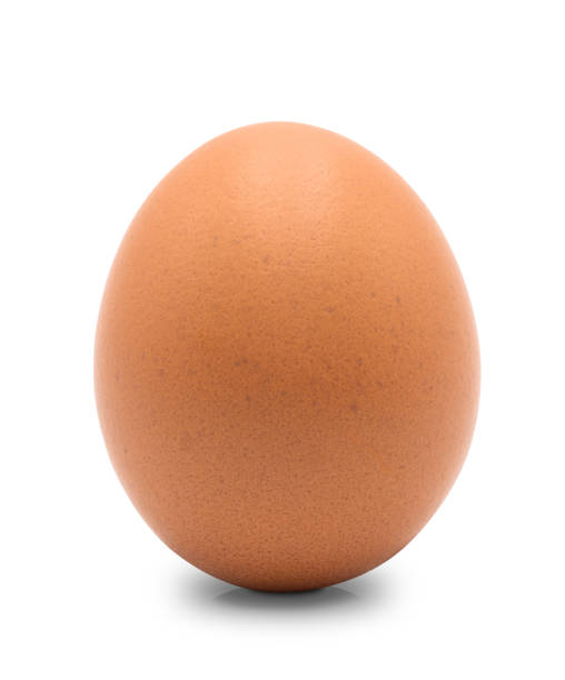istock Close up of chicken egg isolated 1178183047