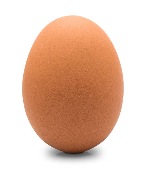 istock Close up of chicken egg isolated 1178183049