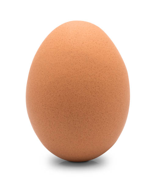 istock Close up of chicken egg isolated 1178183119
