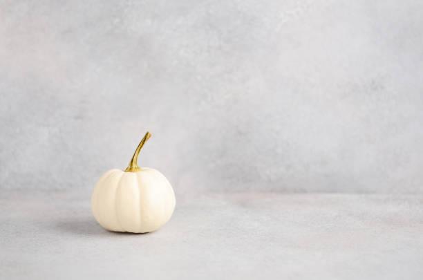 istock Autumn background with pumpkin on a gray concrete background. 1178191473