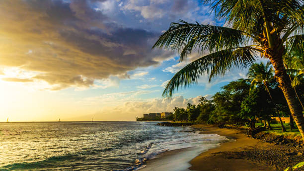 istock Hawaii Sunset in Maui 1178191604