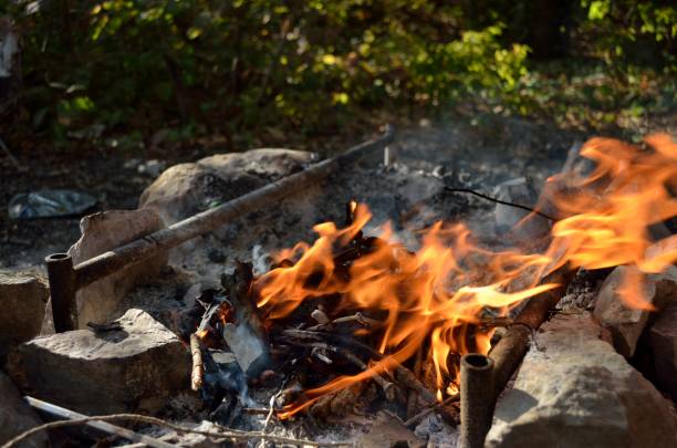 istock Bonfire, coal and stones in the forest. 1178192935