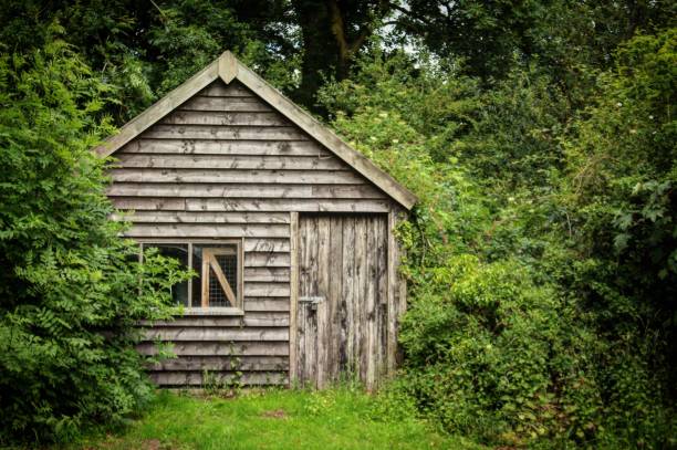 istock Abandoned wooden building in a Forrest 1178193645