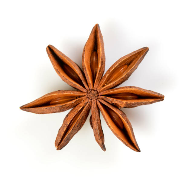 istock Star anise. Single star anise fruit. Macro close up Isolated on white square background, top view of a chinese badiane spice or Illicium verum. 1178194385