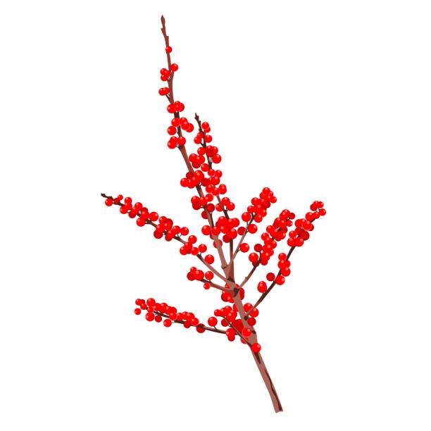 istock Holly red berries. Christmas plant. Branches on a white background. A beautiful winter berries. 1178195021