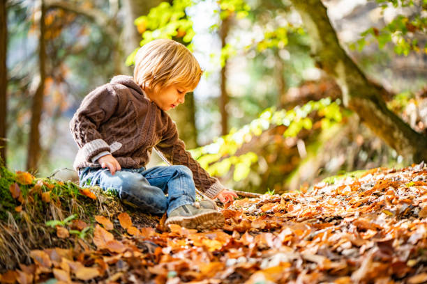 istock Happy small boy in the forest 1178195968