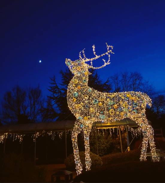 istock Christmas lit up reindeer 1178196166