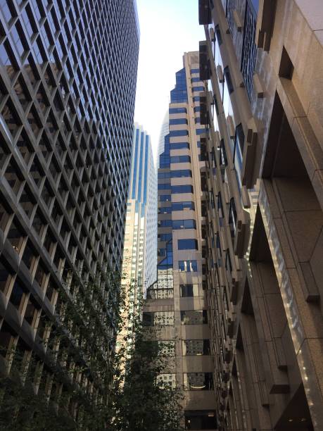 istock Skyscrapers in San Francisco California 1178196261