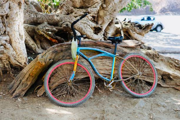 vélo sur la plage - josianne toubeix photos et images de collection