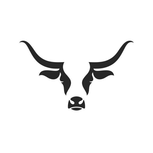 schottische hochland kuh. isolierter kopf auf weißem hintergrund - texas longhorn cattle stock-grafiken, -clipart, -cartoons und -symbole