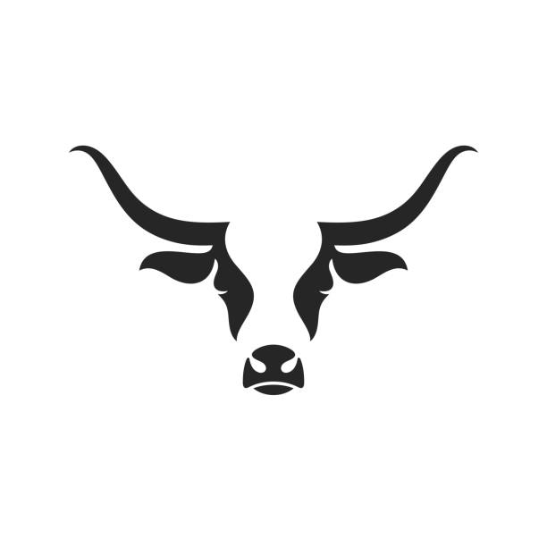 ilustrações, clipart, desenhos animados e ícones de vaca escocesa das montanhas. cabeça isolada no fundo branco - texas longhorn cattle