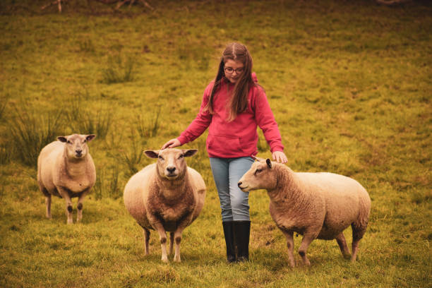 istock Young girl with her pet sheep. 1178197546