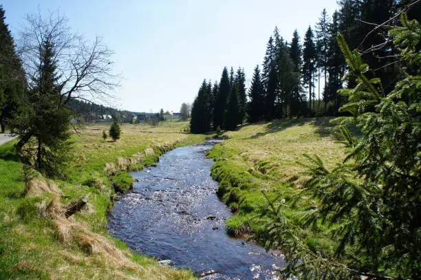 Hike through the idyllic Schwarzwassertal in the Erzgebirge in Saxony; sunny day in spring