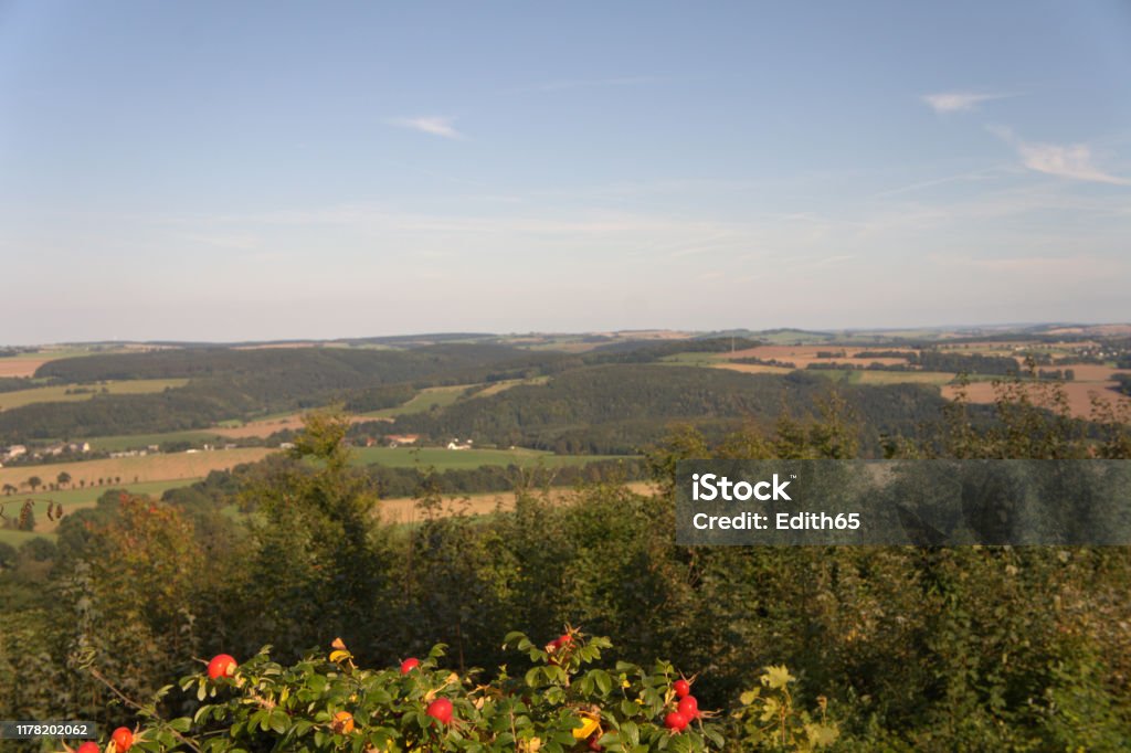 View of the Erzgebirge Views of the highlands of the Ore Mountains in Saxony, Germany; meadows, fields and forests and individual villages; in the foreground a shrub with rose hips; blue sky and white clouds Erzgebirge Stock Photo