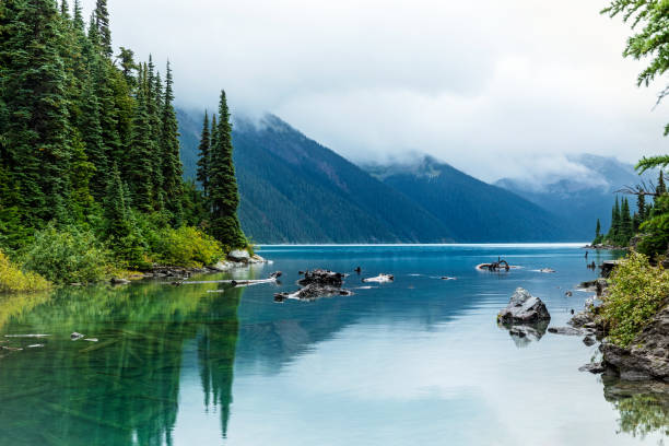 Mountain and forest trees reflected in Garabaldi Lake