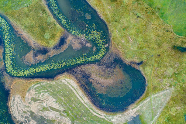 istock Lake Cerknica 1178210426