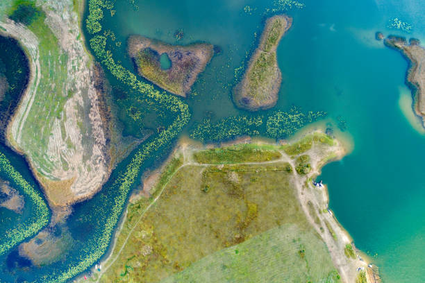 istock Lake Cerknica 1178210429