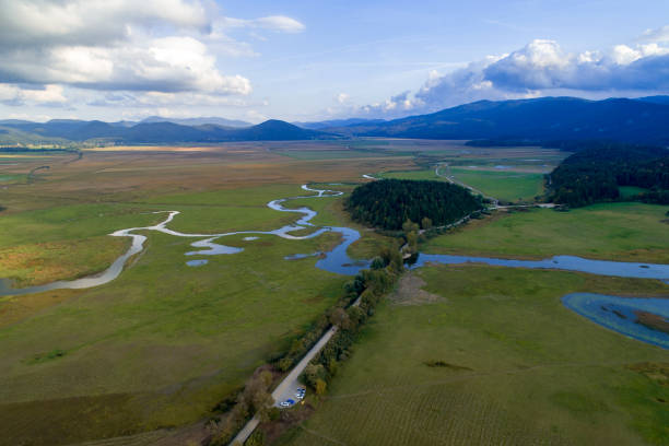istock Lake Cerknica 1178210716