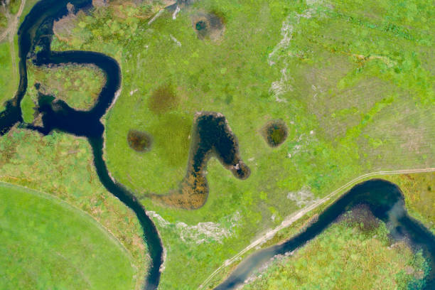 istock Lake Cerknica 1178210857