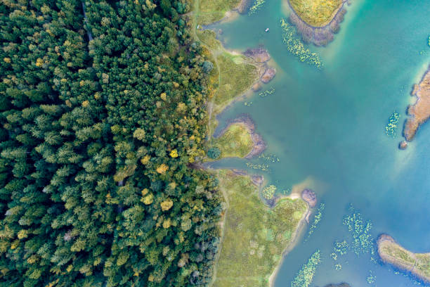 istock Lake Cerknica 1178211675