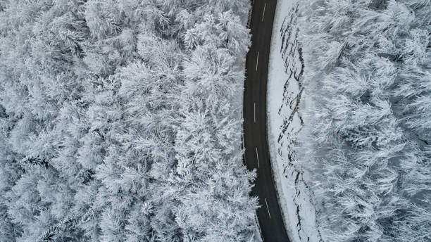istock Asphalt Road Thru Forest Covered With Snow in Winter 1178215842