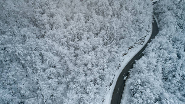 istock Car Driving on a Road Thru Winter Forest 1178215846