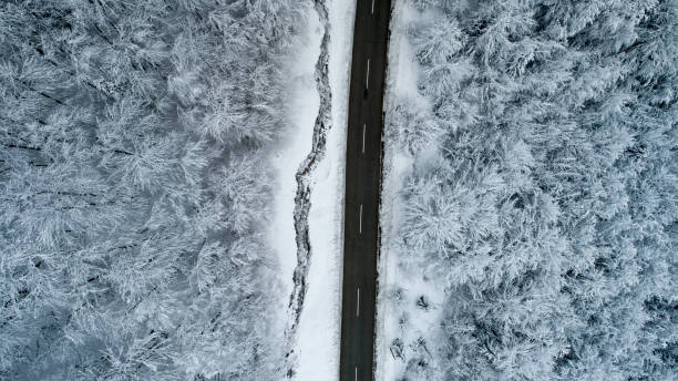 istock Asphalt Road Thru Snowy Forest From Directly Above 1178215849
