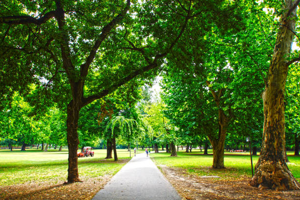 istock Hungary promenade 1178216004