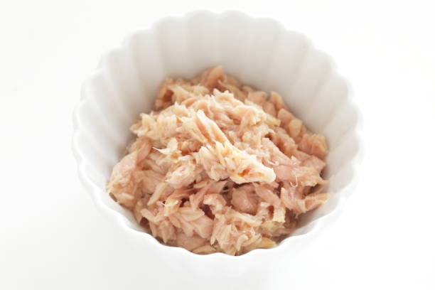 istock Canned food, tuna fish in bowl 1178217211