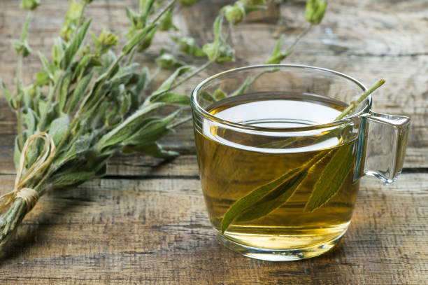 glas tasse kräutersalbei tee mit getrockneten salbeiblättern auf holzrustikalen hintergrund. kräutertee-heißgetränke-konzept, salvia officinalis - homewares rustic herbal tea herb stock-fotos und bilder