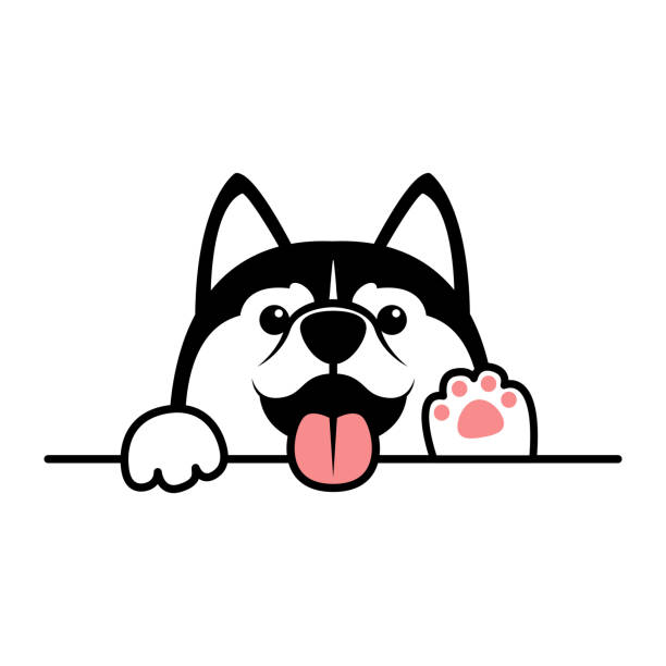 可愛的西伯利亞哈斯基狗爪在牆上，向量插圖 - 哈士奇 圖片 幅插畫檔、美工圖案、卡通及圖標