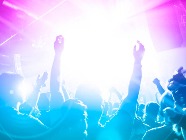 istock Music festival crowd 1178223026
