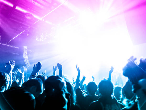 istock Music festival crowd 1178223027