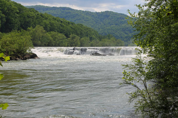 istock New River in green landscape 1178224724